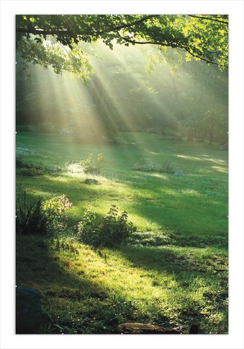 Wallario premium poster plakat - poster,