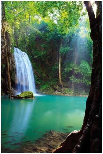 Wallario premium poster plakat - wallario,